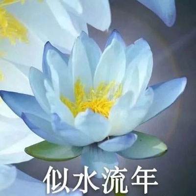 爱微游大天使之剑h5客户端下载