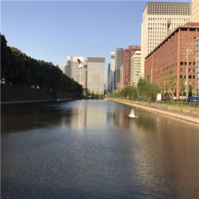 米加我的城市生活手机版下载