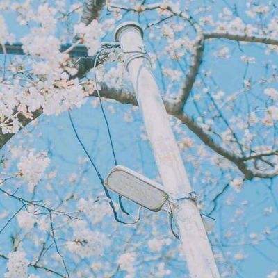 萌妖飞仙手游官方